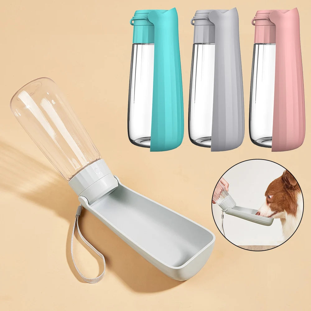 On-the-Go pet Hydration