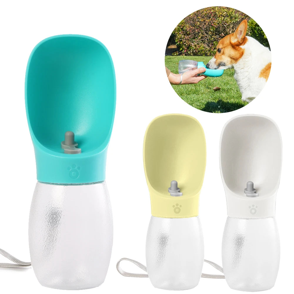 On-the-Go pet Hydration