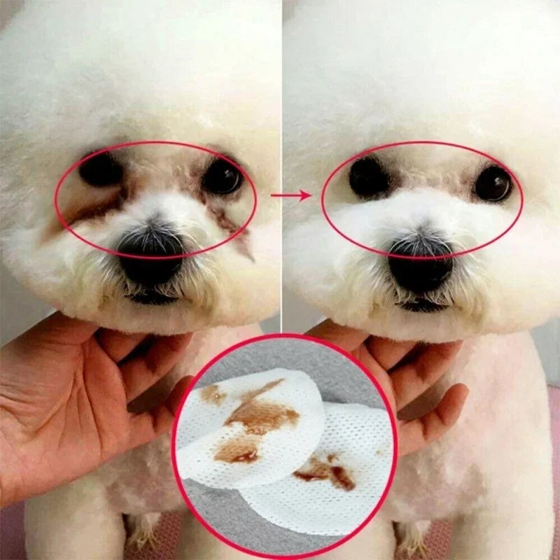 Gentle Pet Eye Wipes