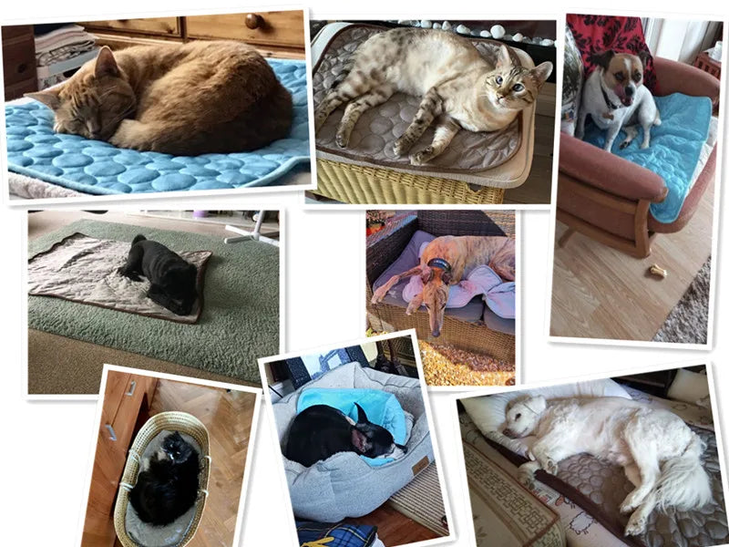CoolComfort Ice Pet Mat