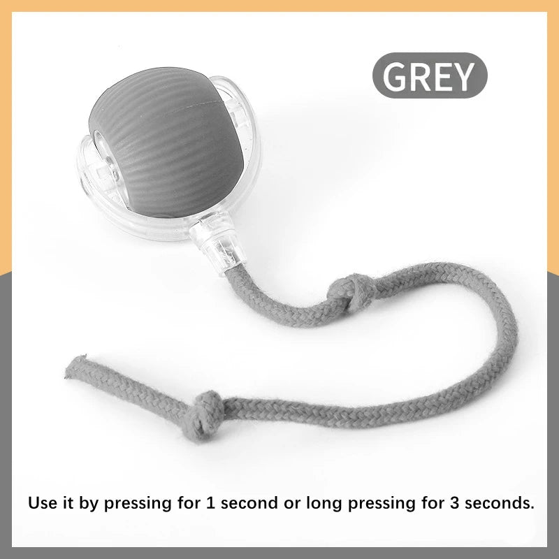 Smart Bouncing Pet Toy Ball