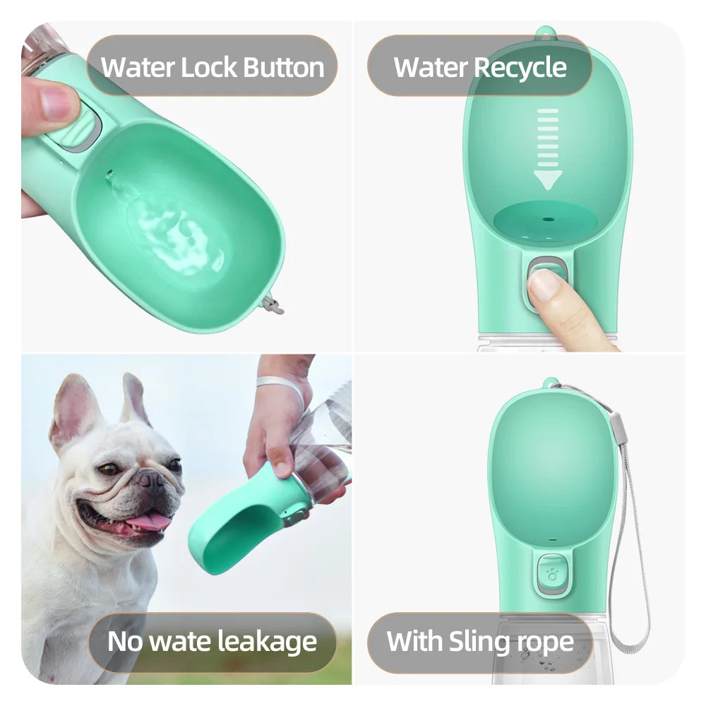 On-the-Go pet Hydration