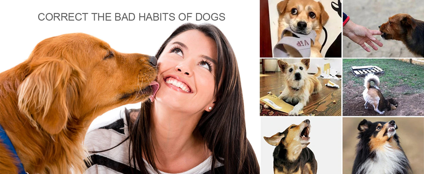 Smart Dog Training Collar