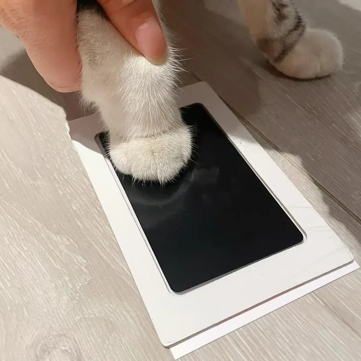 Paw & Handprint Keepsake Kit