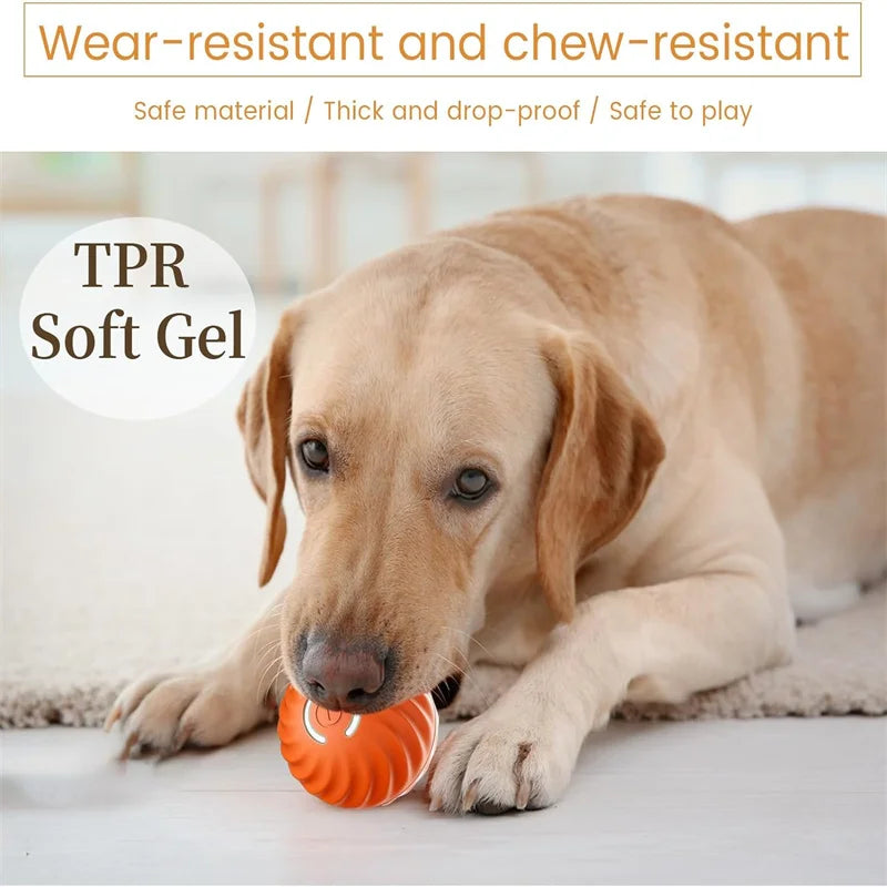 Smart Bouncing Pet Toy Ball