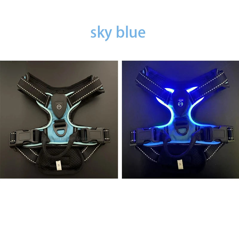 LED No-Pull Dog Harness