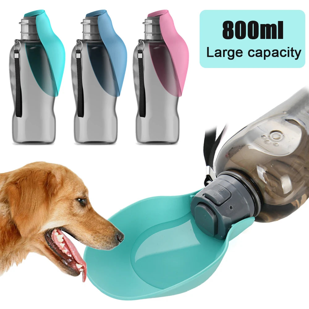 On-the-Go pet Hydration