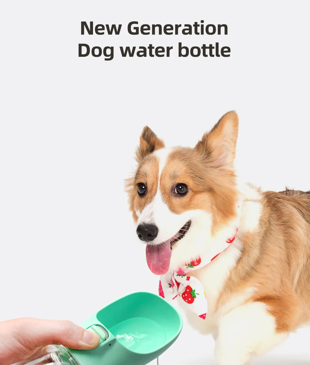 On-the-Go pet Hydration