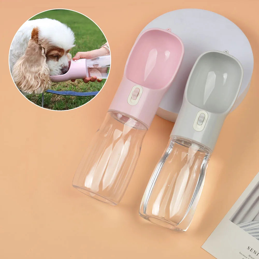 On-the-Go pet Hydration