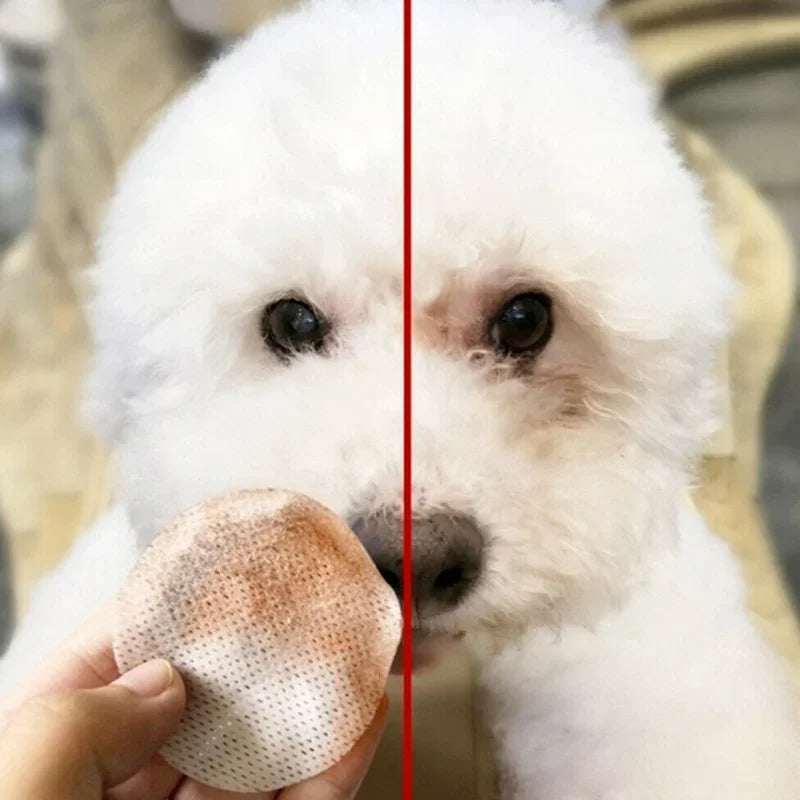 Gentle Pet Eye Wipes