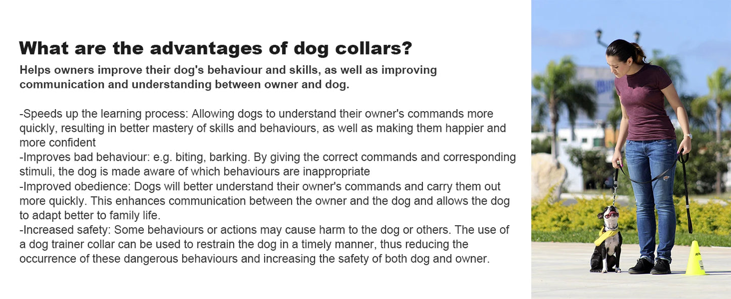 Smart Dog Training Collar