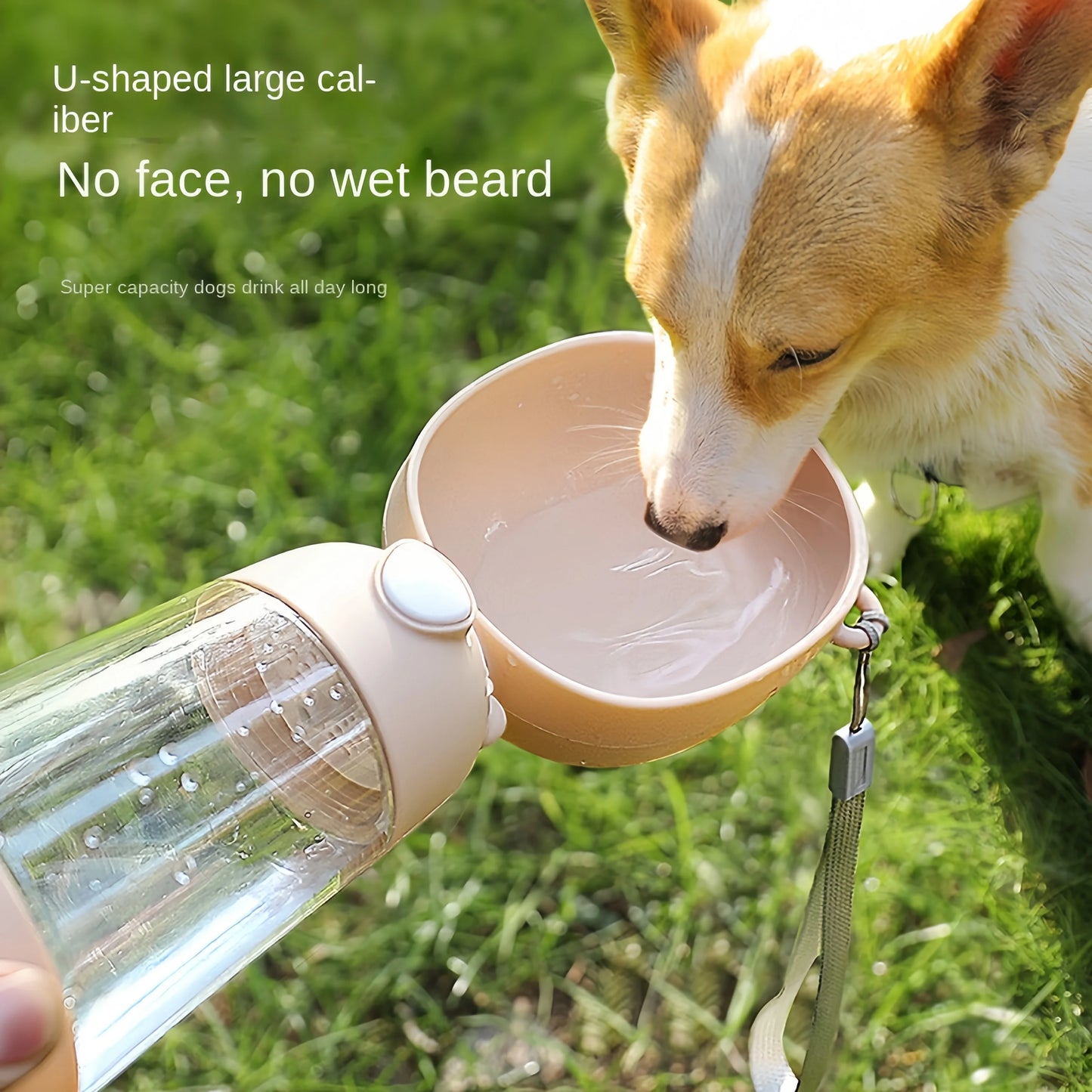 On-the-Go Pet Bottle
