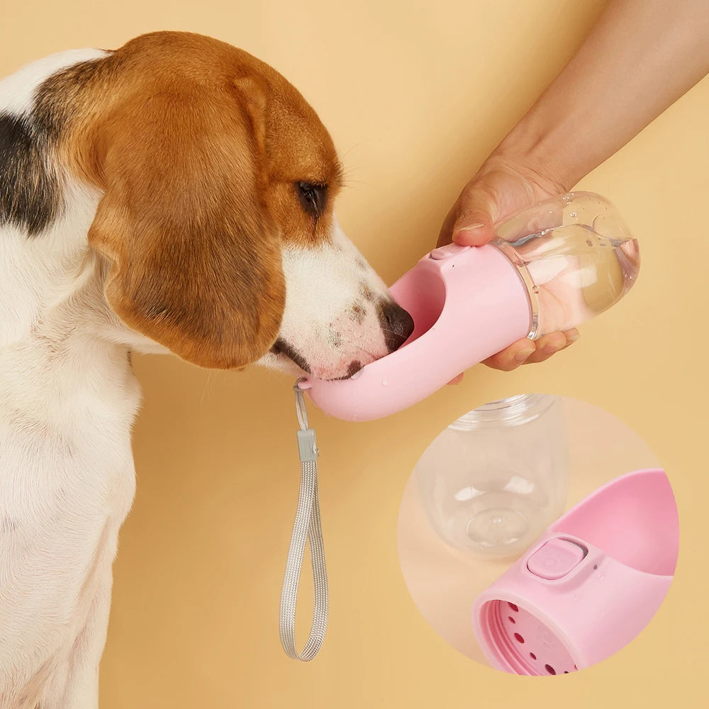 On-the-Go pet Hydration