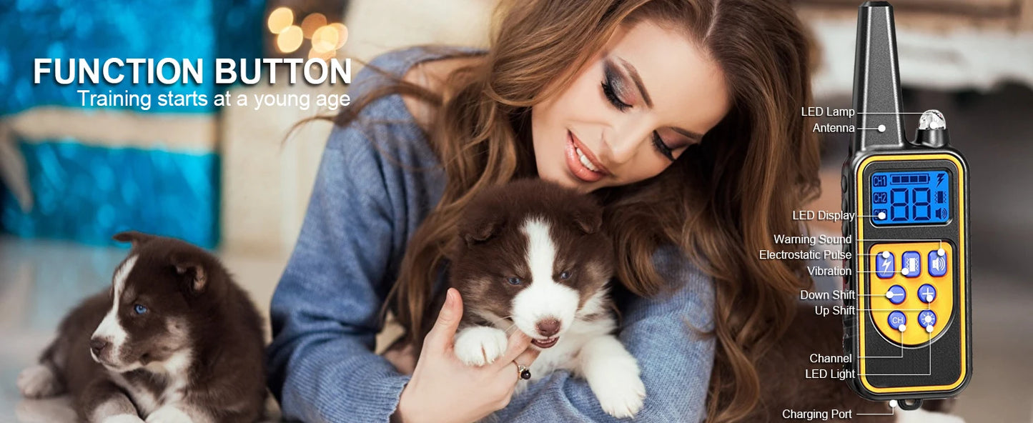 Smart Dog Training Collar