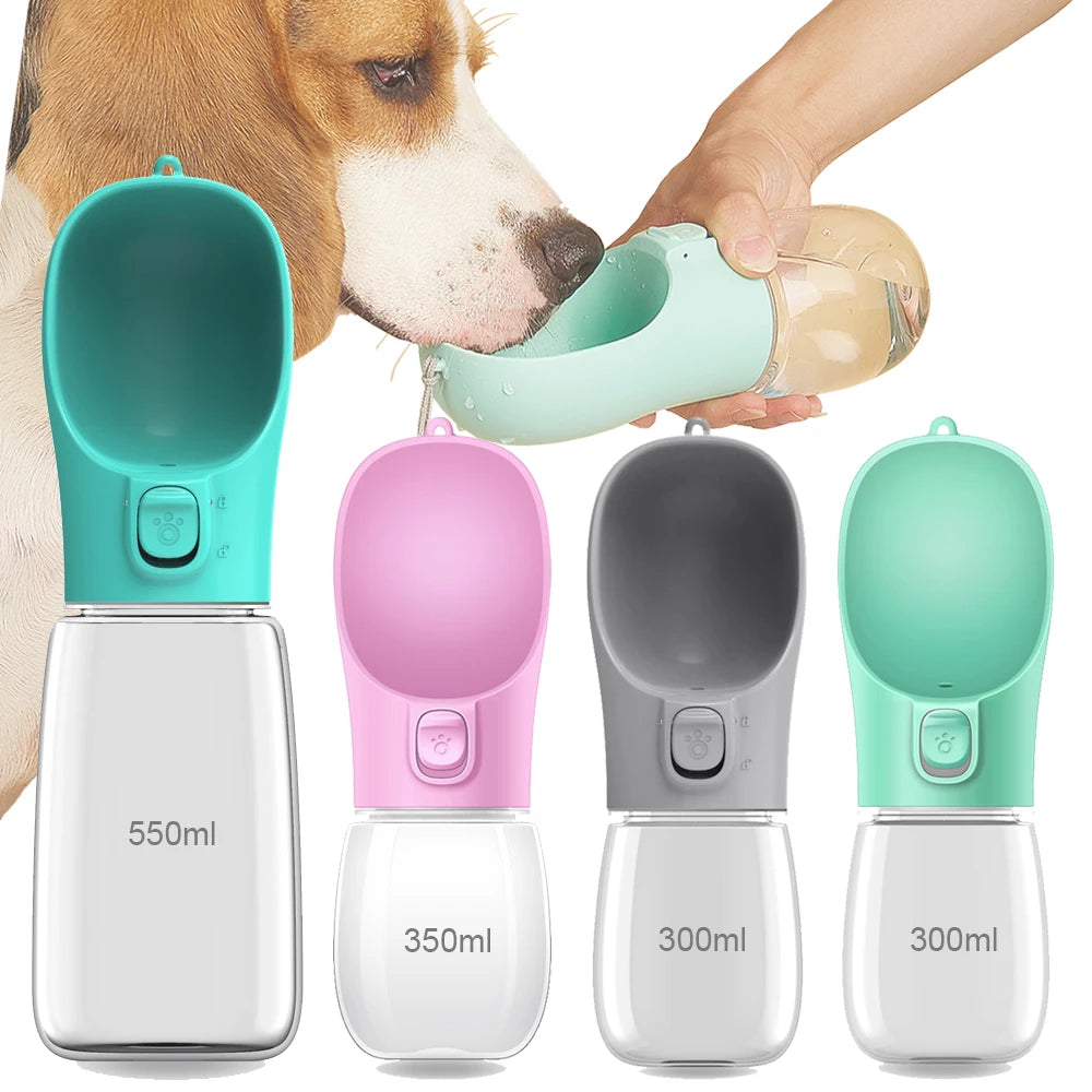 On-the-Go pet Hydration