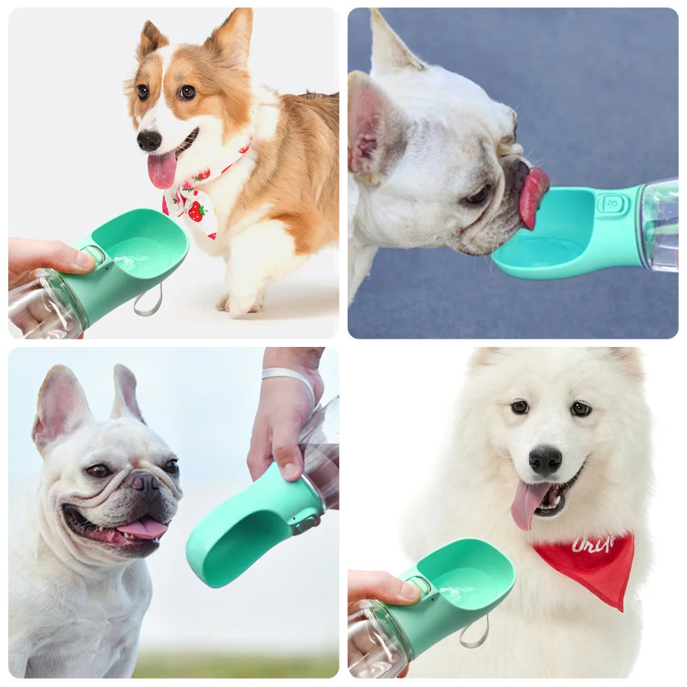 On-the-Go pet Hydration