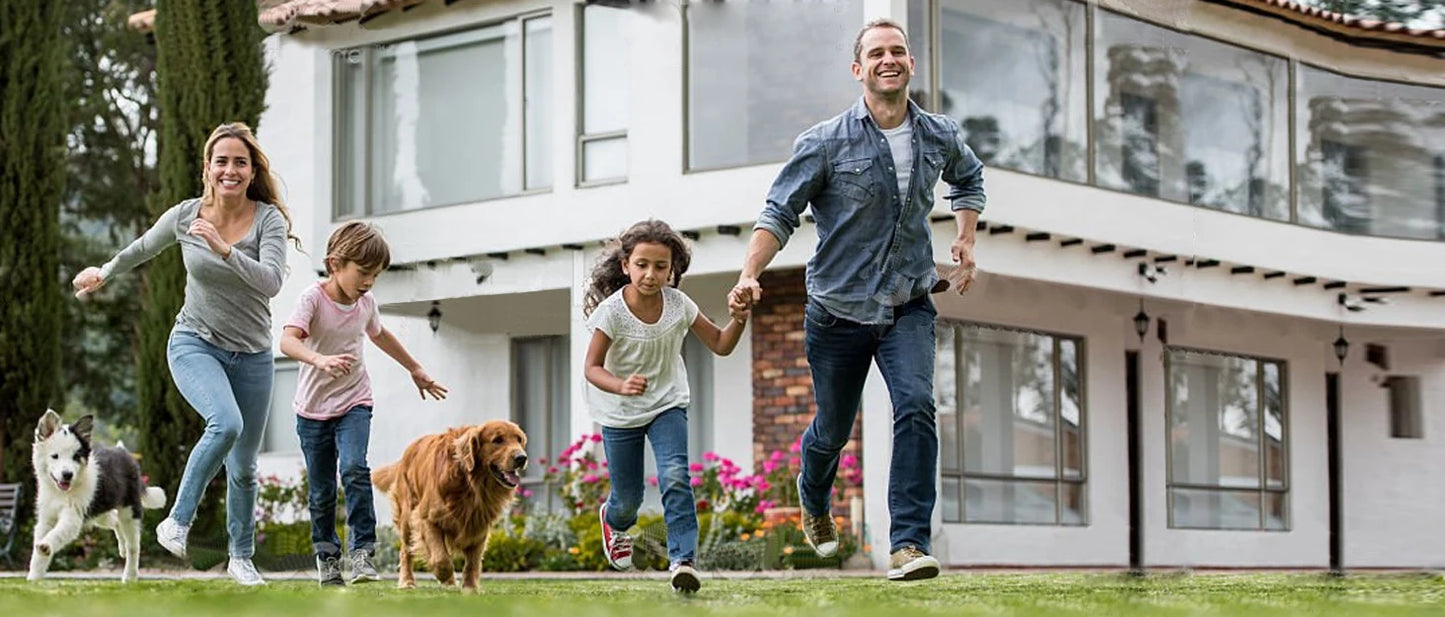 Smart Dog Training Collar