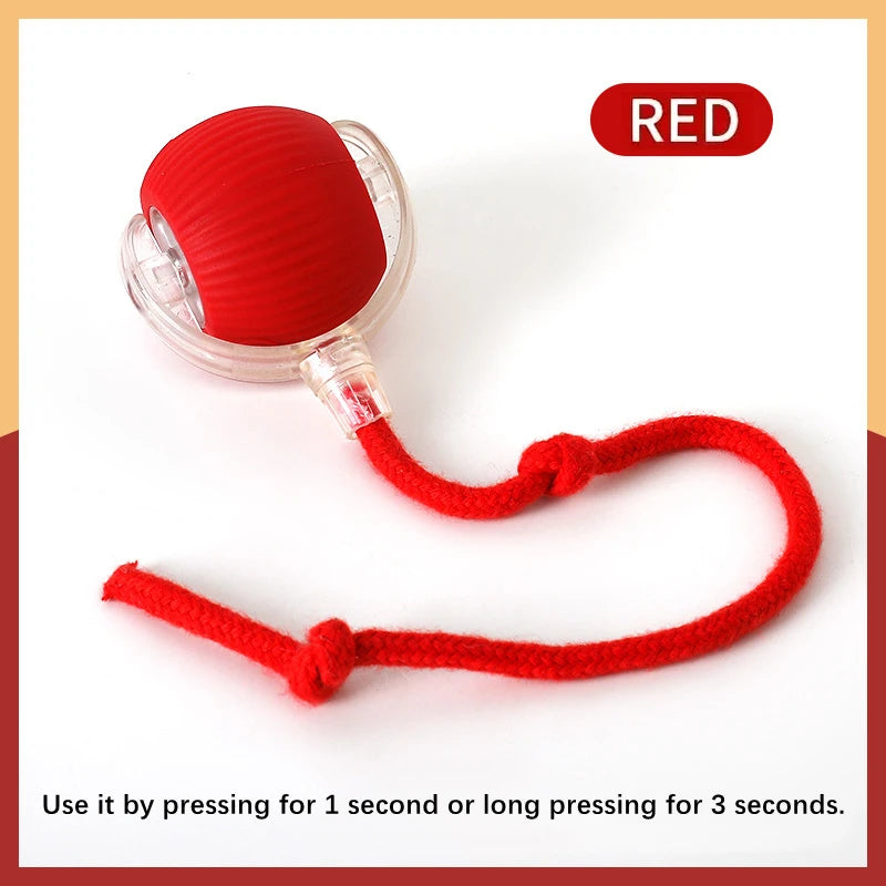 Smart Bouncing Pet Toy Ball