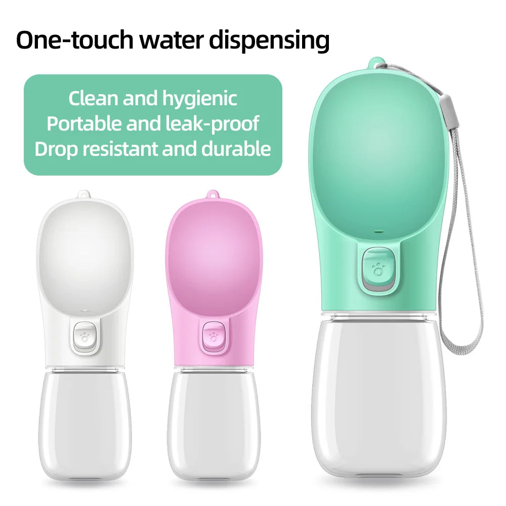On-the-Go pet Hydration