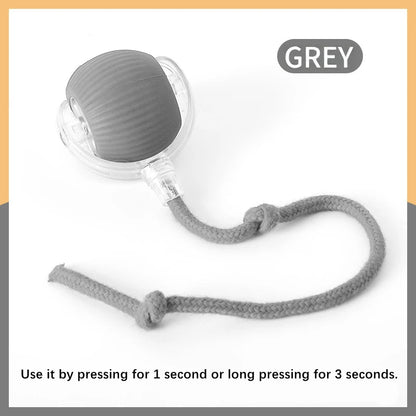 Smart Bouncing Pet Toy Ball