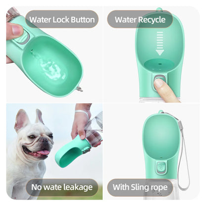 On-the-Go pet Hydration