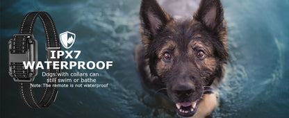 Smart Dog Training Collar