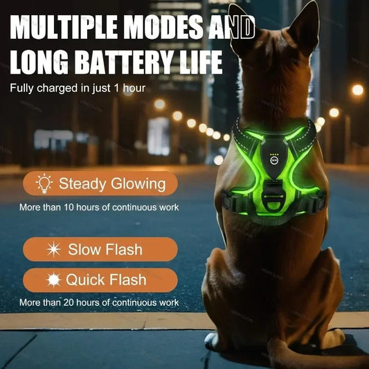 LED No-Pull Dog Harness