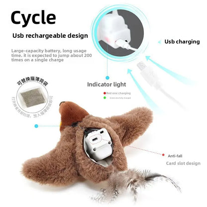 Hot Cat Interactive Toys
