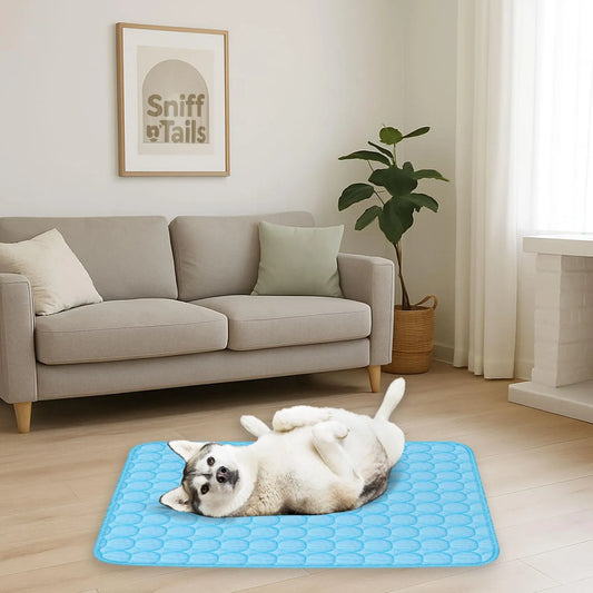 CoolComfort Ice Pet Mat