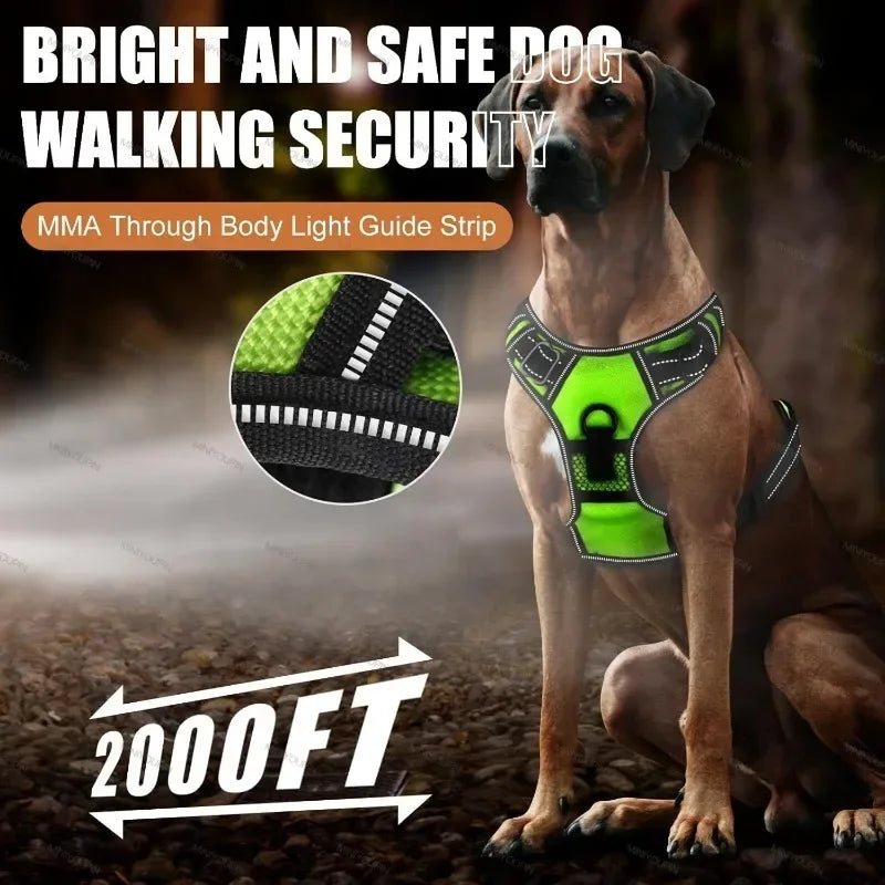 LED No-Pull Dog Harness
