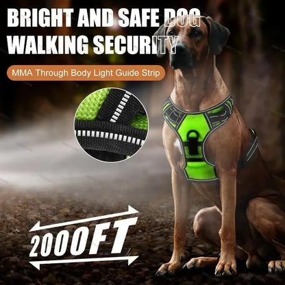 LED No-Pull Dog Harness