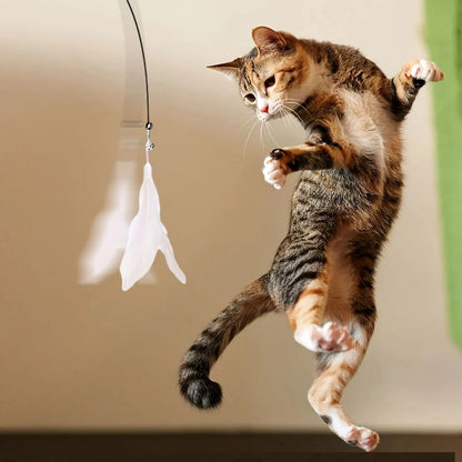 Bell & Feather Cat Toy