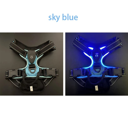LED No-Pull Dog Harness