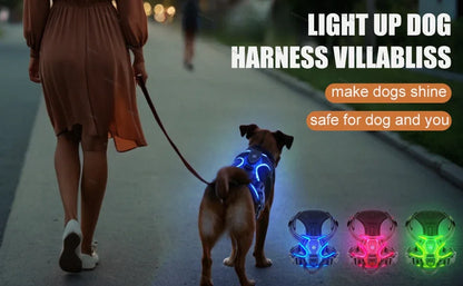 LED No-Pull Dog Harness