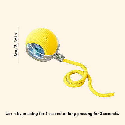 Smart Bouncing Pet Toy Ball