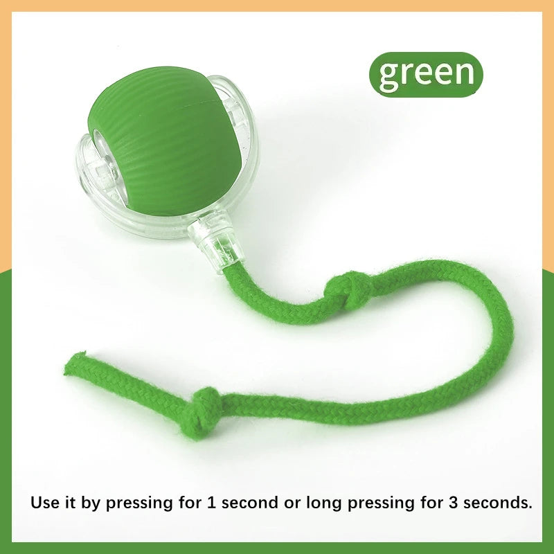 Smart Bouncing Pet Toy Ball