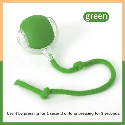 Smart Bouncing Pet Toy Ball