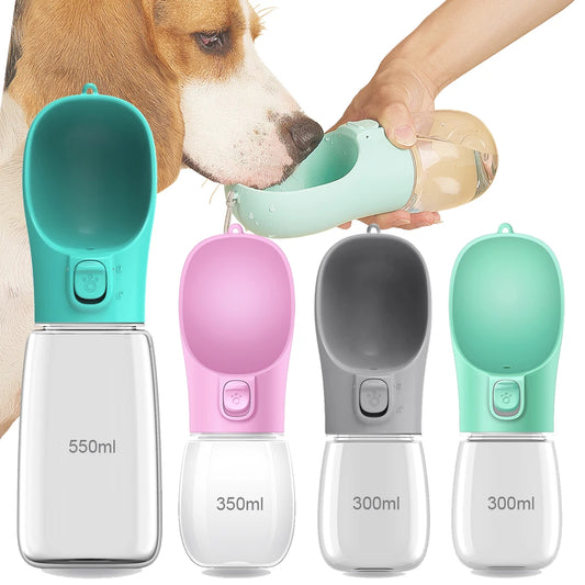 On-the-Go pet Hydration