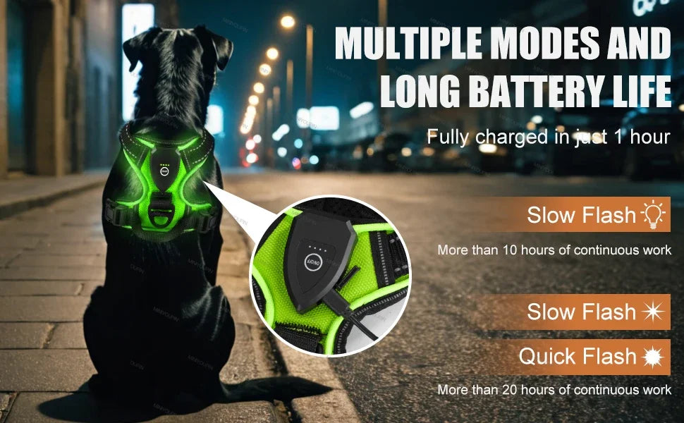 LED No-Pull Dog Harness