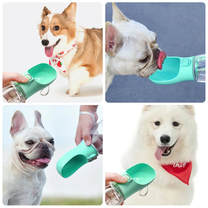 On-the-Go pet Hydration