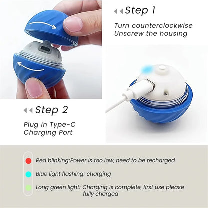 Smart Bouncing Pet Toy Ball
