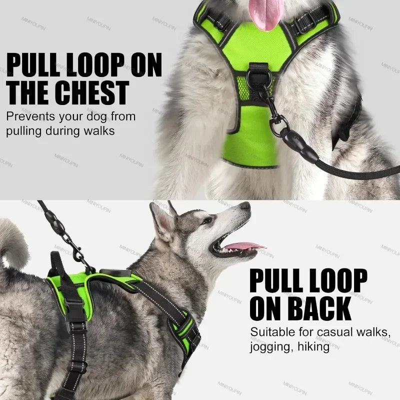 LED No-Pull Dog Harness