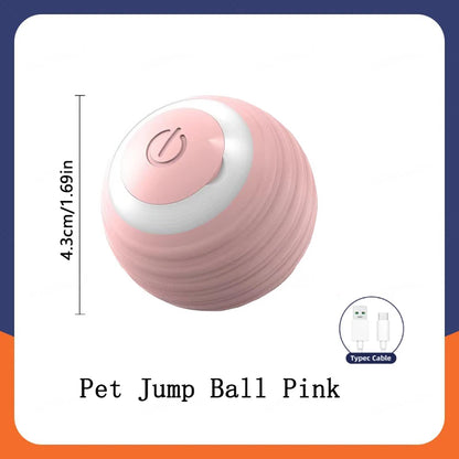Smart Bouncing Pet Toy Ball